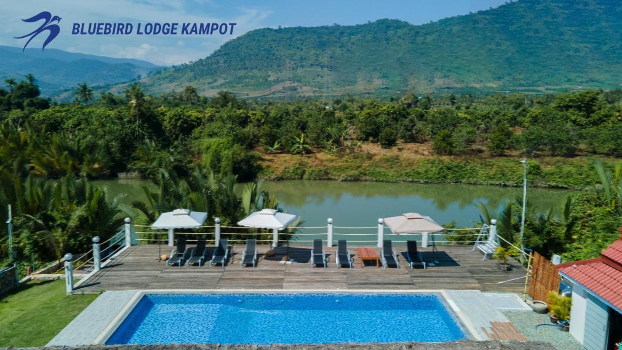 Bluebird Lodge קמפוט מראה חיצוני תמונה