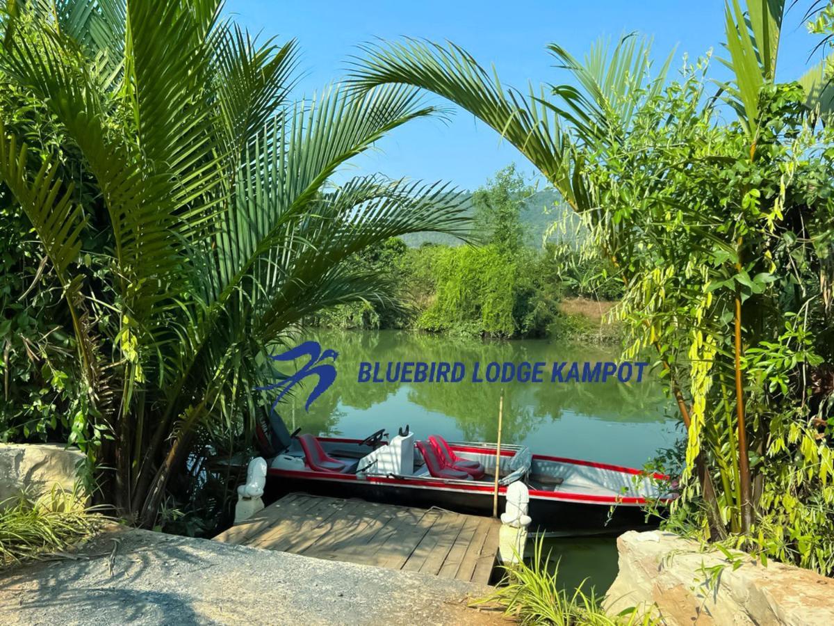 Bluebird Lodge קמפוט מראה חיצוני תמונה