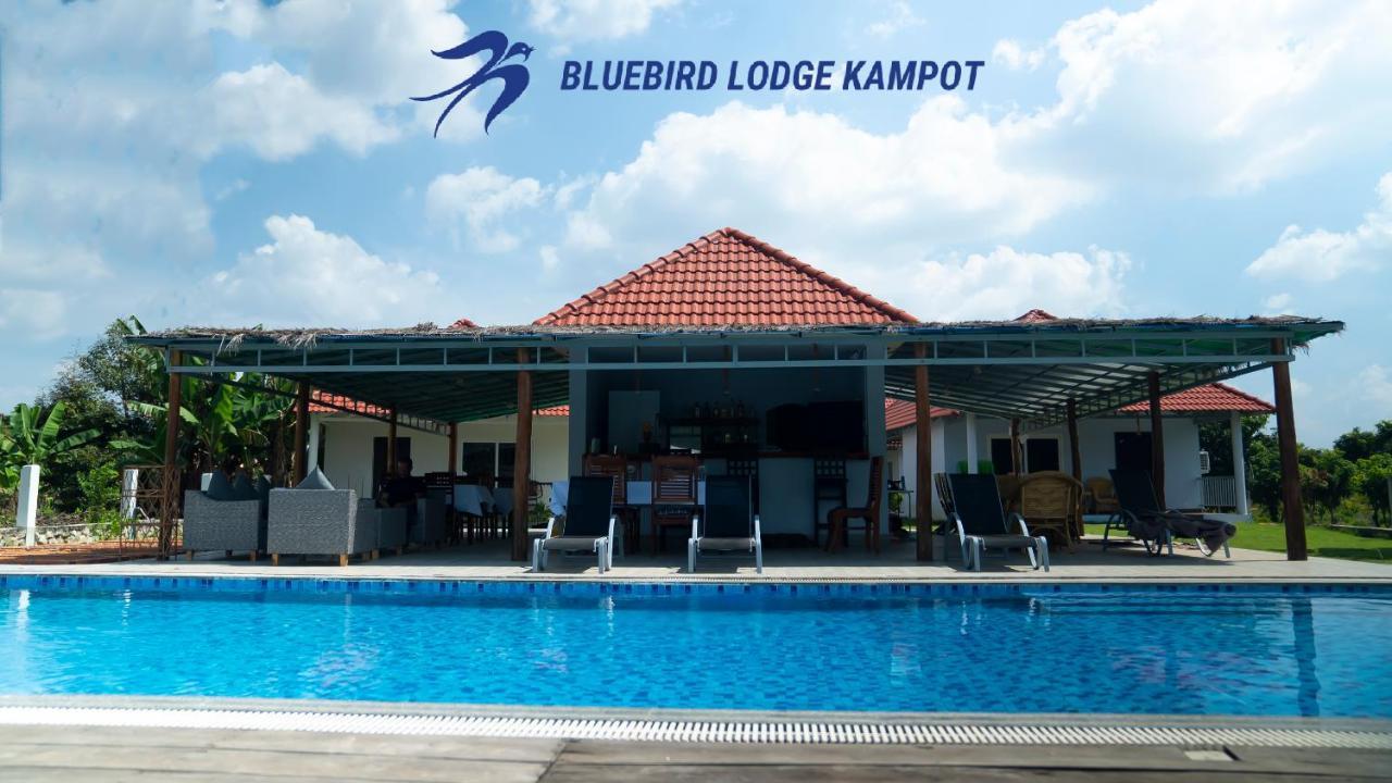 Bluebird Lodge קמפוט מראה חיצוני תמונה