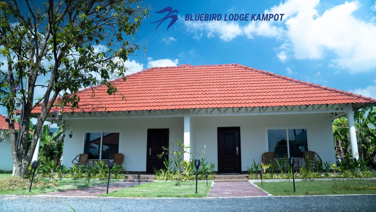 Bluebird Lodge קמפוט מראה חיצוני תמונה